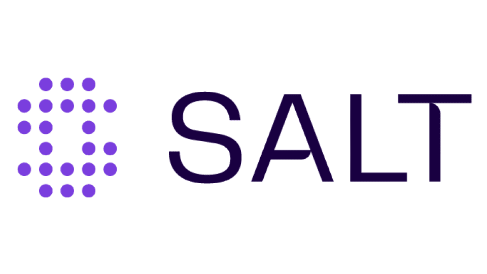 Salt Security Logo