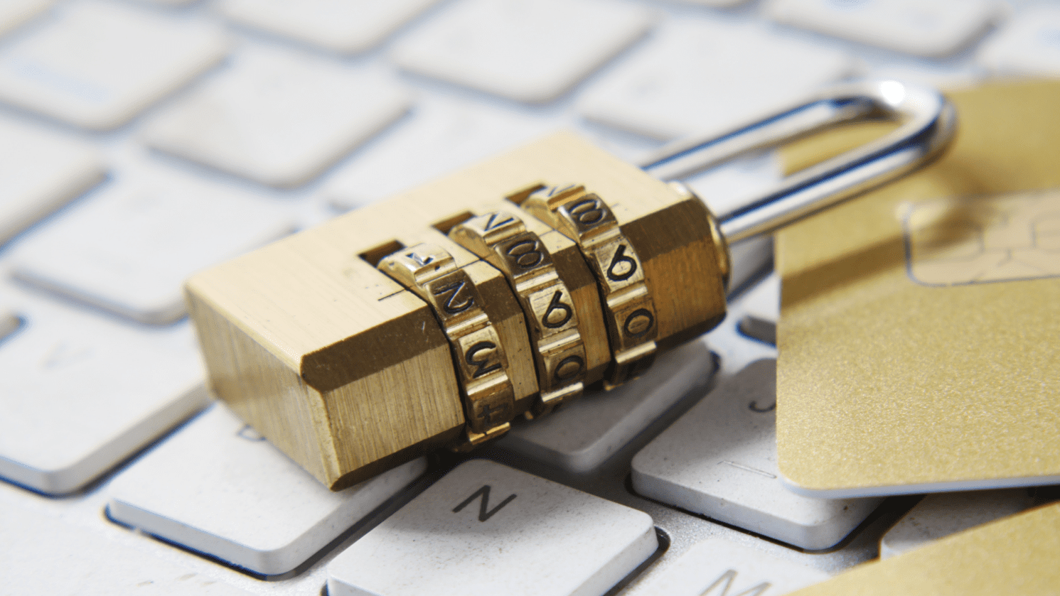 What Are The Different Types Of Password Manager?