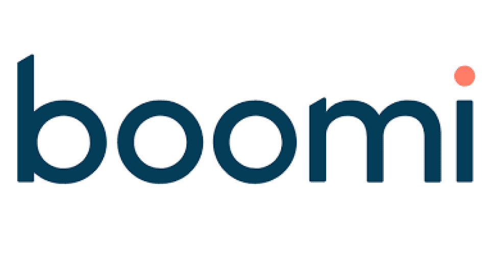 Boomi API Management Logo